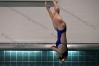 Women's Diving  Wheaton College Women’s Diving vs Mount Holyoke College. - Photo by Keith Nordstrom : Wheaton, Swimming & Diving